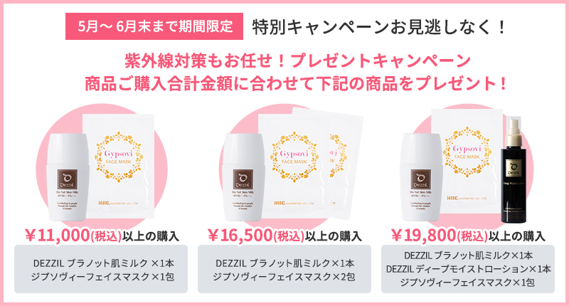 購入金額に応じたプレゼントキャンペーン